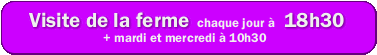 Visite de la ferme � 18h30